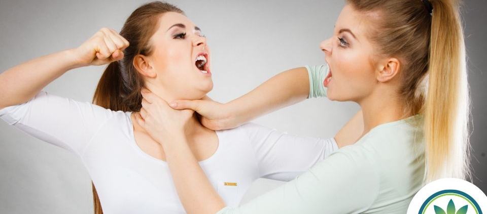 Dos mujeres peleando