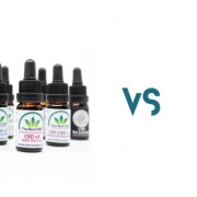 The-Real-CBD-Blog-Aceite de CBD vs. Gomitas de CBD Aceite de CBD frente a gominolas de CBD