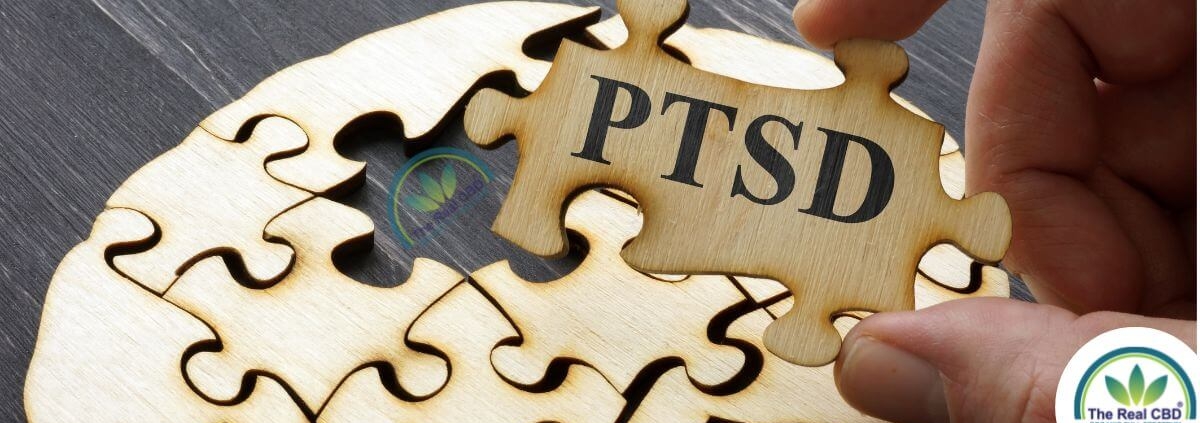 Pieza de puzzle del TEPT