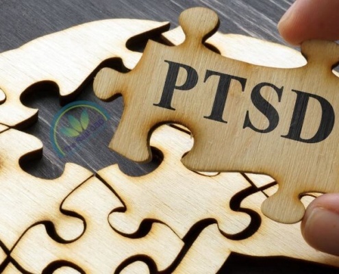 Pieza de puzzle del TEPT