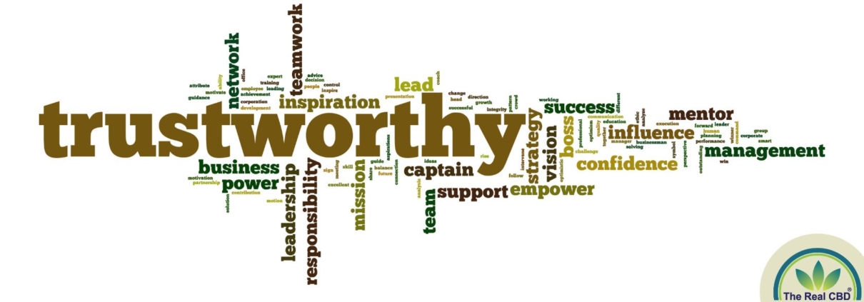 Sopa de palabras TRUSTWORTHY
