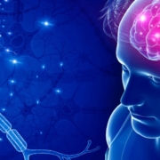 The-Real-CBD-Blog-CBD-para-el-nervio-vagus Ilustración de la conexión entre el nervio vago y el cerebro