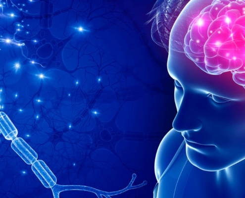 Ilustración de la conexión entre el nervio vago y el cerebro