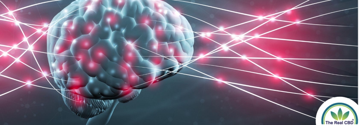 Cerebro con corrientes eléctricas