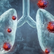The-Real-CBD-Blog-Gominolas-de-CBD-para-enfermedades-pulmonares Pulmones con bacterias