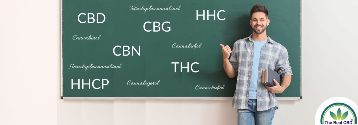 Profesor enseña sobre cannabinoides