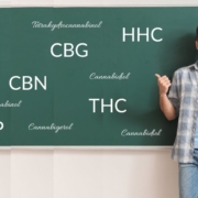 Profesor enseña sobre cannabinoides