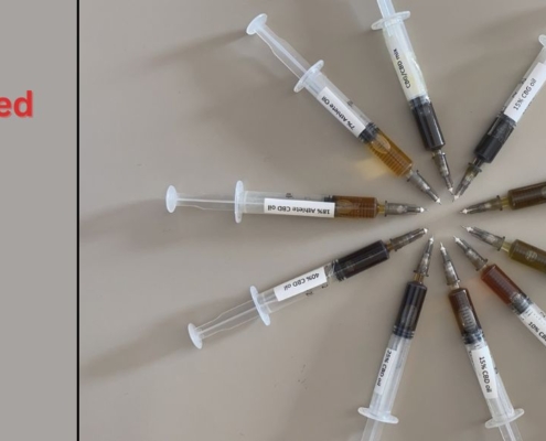 10 jeringas de CBD con diferentes aceites