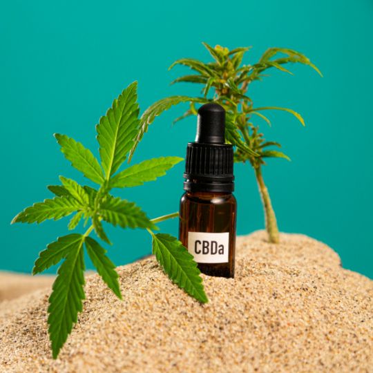 CBDA