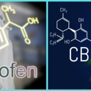 The-Real-CBD-Blog-CBD-Y-Ibuprofeno Fórmula química del CBD y el ibuprofeno