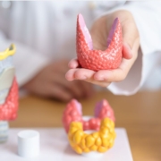 The-Real-CBD-Blog-CBD-para-la-enfermedad-de-Hashimoto Médico sosteniendo tiroides en un consultorio