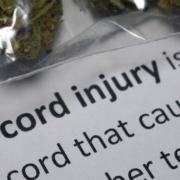 The-Real-CBD-Blog- CBD para la espasticidad de la médula espinal Texto sobre lesiones medulares con flores de CBD