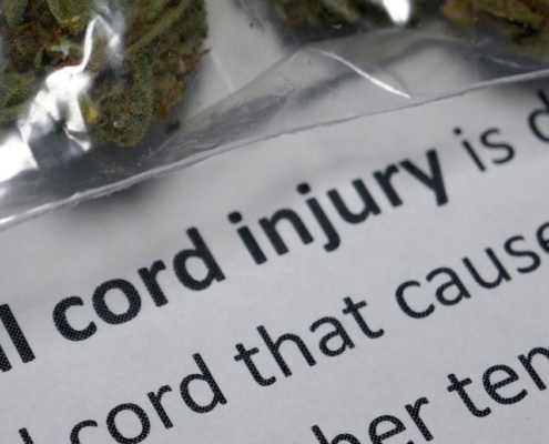 Texto sobre lesiones medulares con flores de CBD
