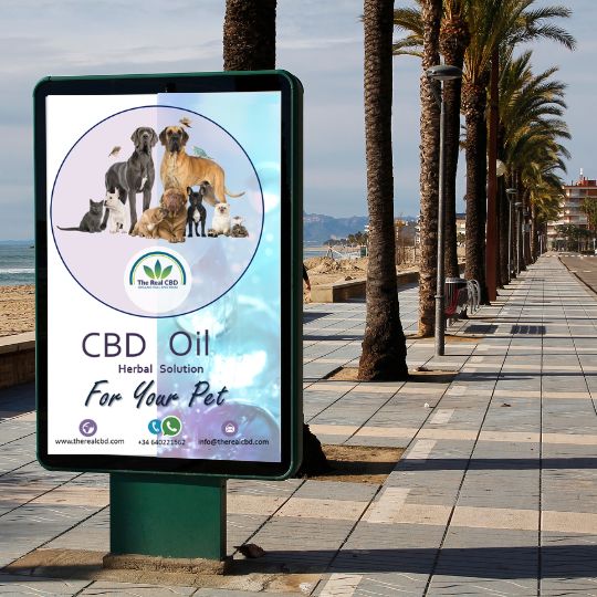 Cartel de The Real CBD en un tablón de anuncios
