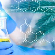 Frascos de laboratorio con líquidos