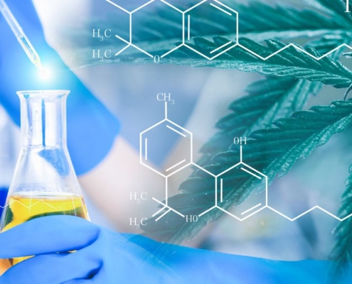 Frascos de laboratorio con líquidos