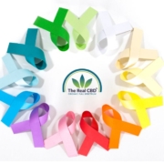 The Real CBD – CBD para cancer Surviving cancer with coloured cancer bows