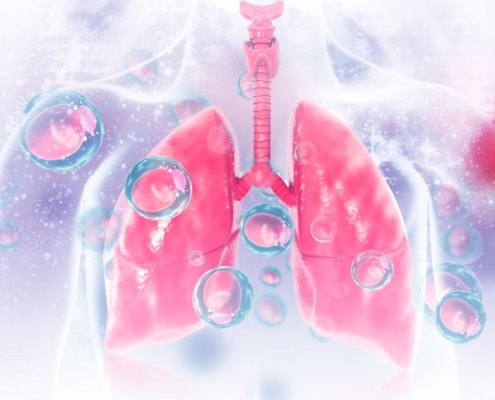 Ilustración de pulmones humanos