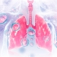 Ilustración de pulmones humanos