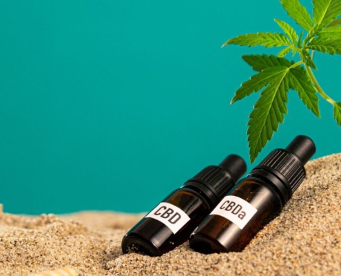 CBD y CBDA en sano con hoja de cáñamo