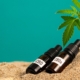 CBD y CBDA en sano con hoja de cáñamo