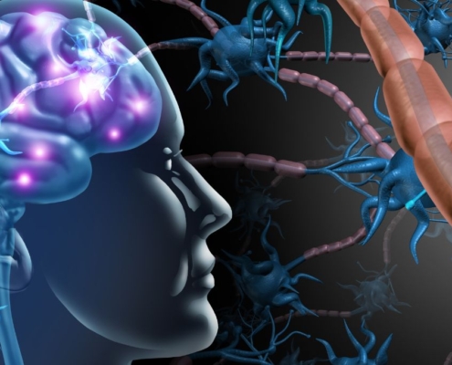 Cerebro humano
