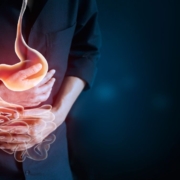 El aparato digestivo humano