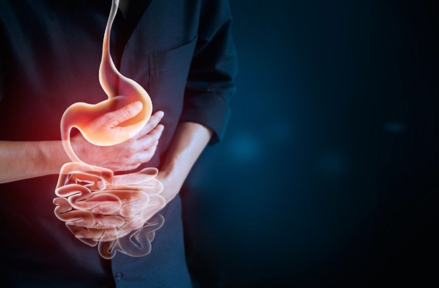 El aparato digestivo humano