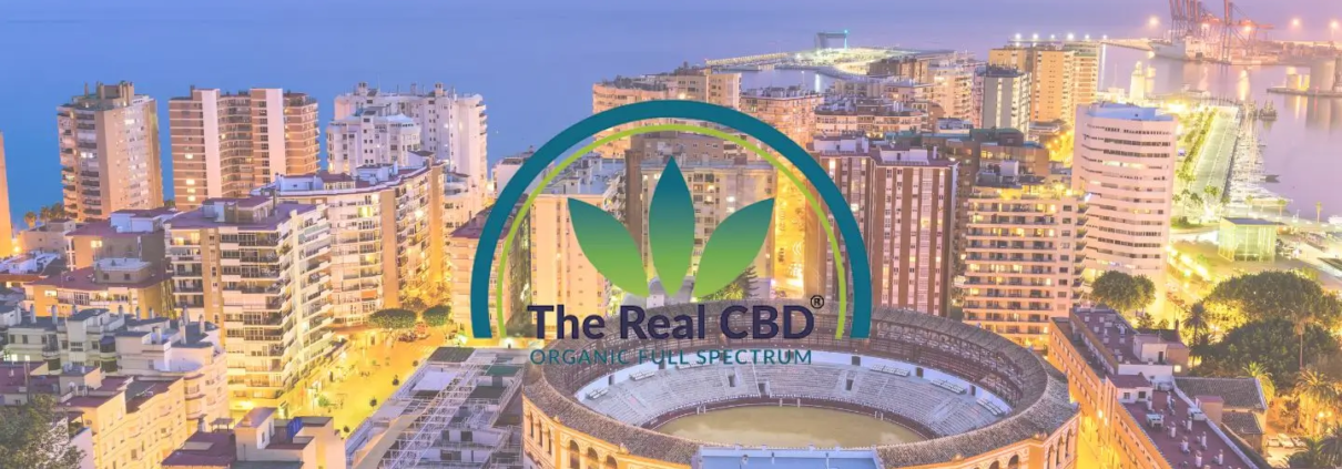 Vista de la ciudad de Malaga