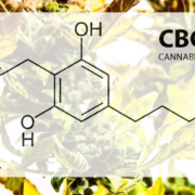 The-Real-CBD-Blog-¿Qué puede hacer por ti el CBG Fórmula química del cannabigerol CBG