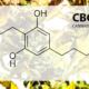 Fórmula química del cannabigerol CBG