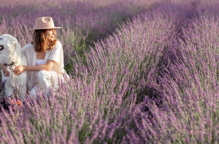 Mujer sentada en un campo de lavanda con su perro