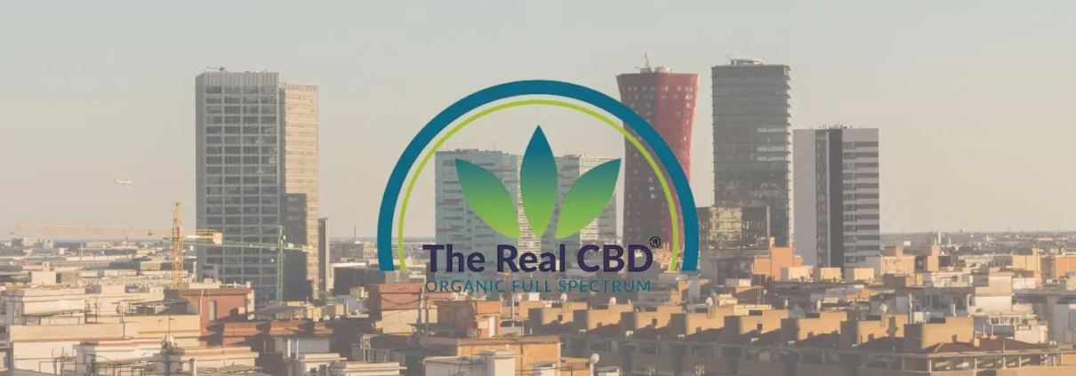 Vista de la ciudad de l'Hospital de llobregat