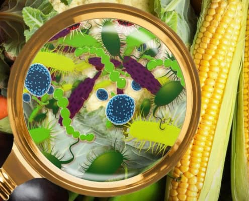 Alimentos con lupa que muestran bacterias