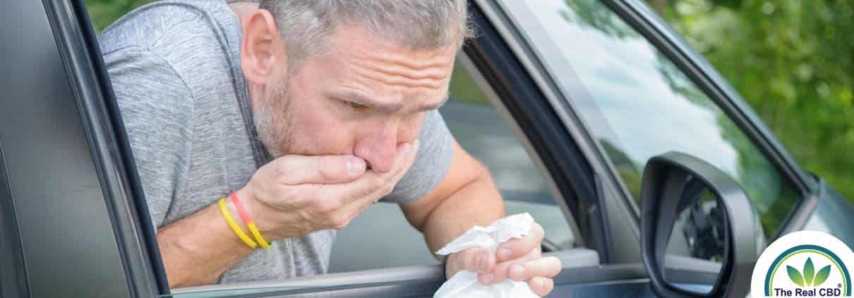 Hombre vomitando por la ventanilla de un coche