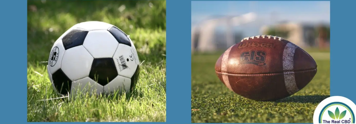 Balón de fútbol y un balón de soccer en un campo de juego