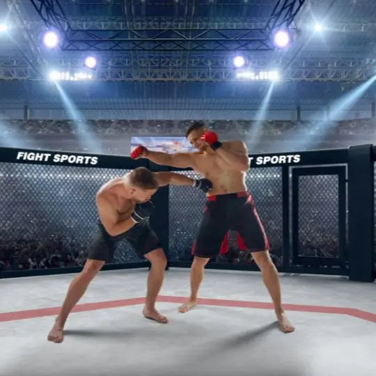 Luchadores de MMA en un ring peleando