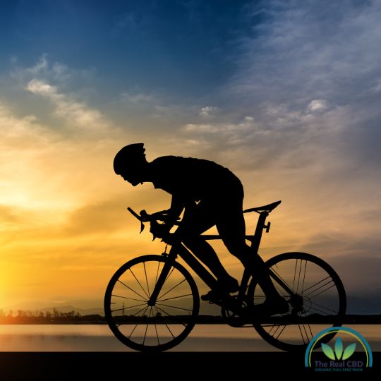 Carrera ciclista profesional