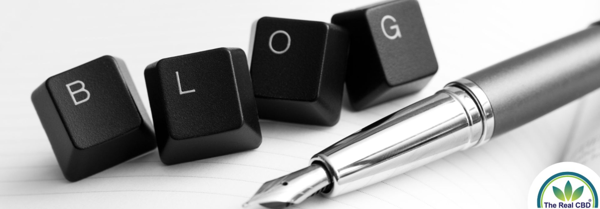 Blogs de plumas y escritores