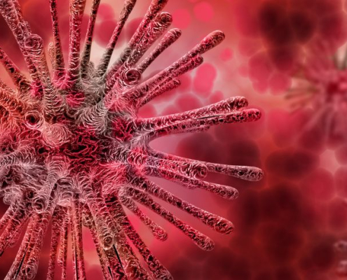 Bacterias rojas en el torrente sanguíneo