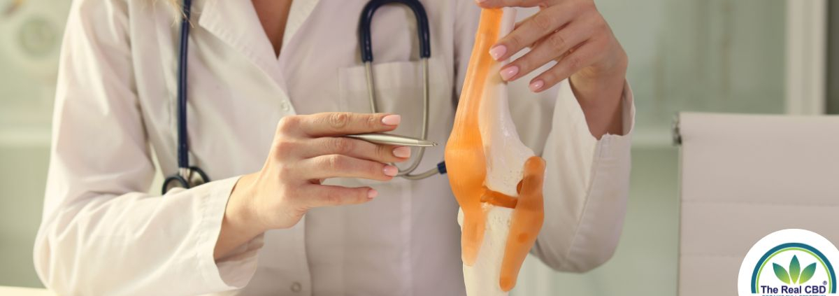 Médico que explica la salud de las articulaciones