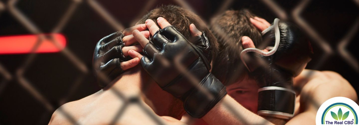 2 MMA fighters in combat