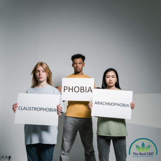 3 adolescentes sosteniendo carteles con el nombre de fobia