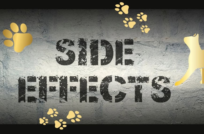 SIDE EFFECTS escrito en un cartel con huellas de patas
