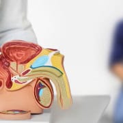 Médico mostrando a un hombre una próstata agrandada
