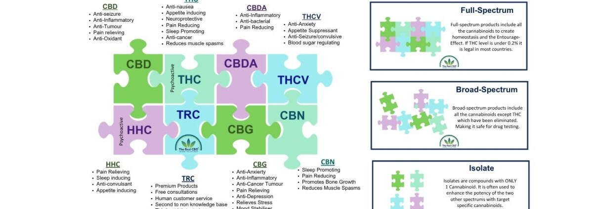 Infografía sobre los cannabinoides
