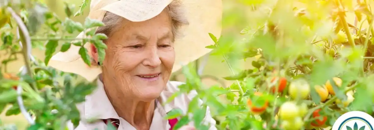 Mujer mayor feliz caminando por un campo de flores. Lleva un sombrero de verano y parece muy feliz.