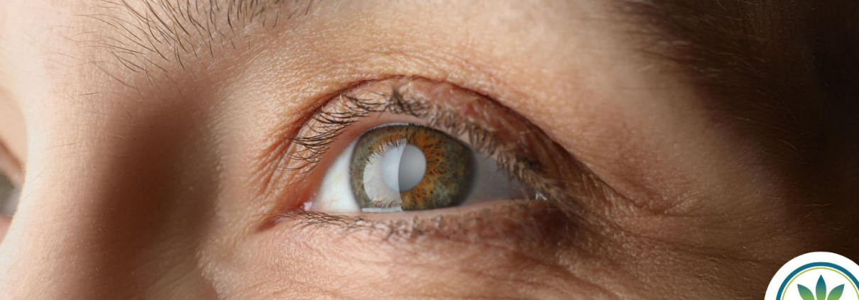 Primer plano de un ojo marrón