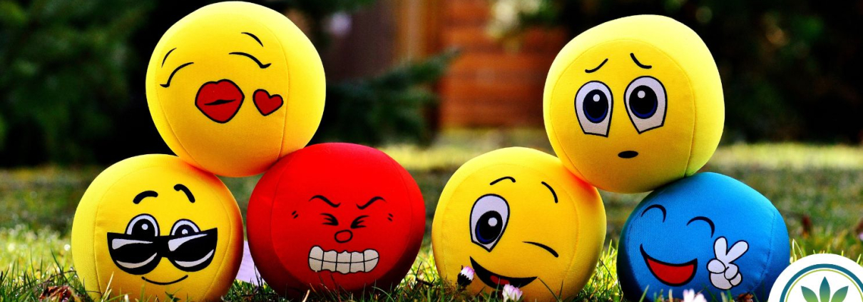 Diferentes bolas emoji con diferentes estados de ánimo sobre un césped verde.