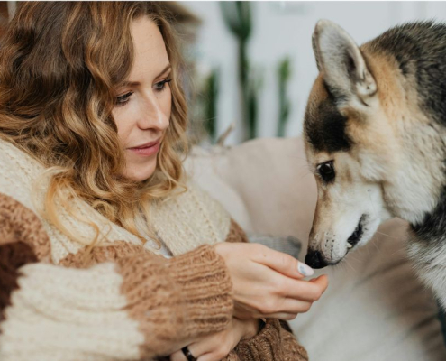 Mujer ofreciendo una golosina a un perro quisquilloso.